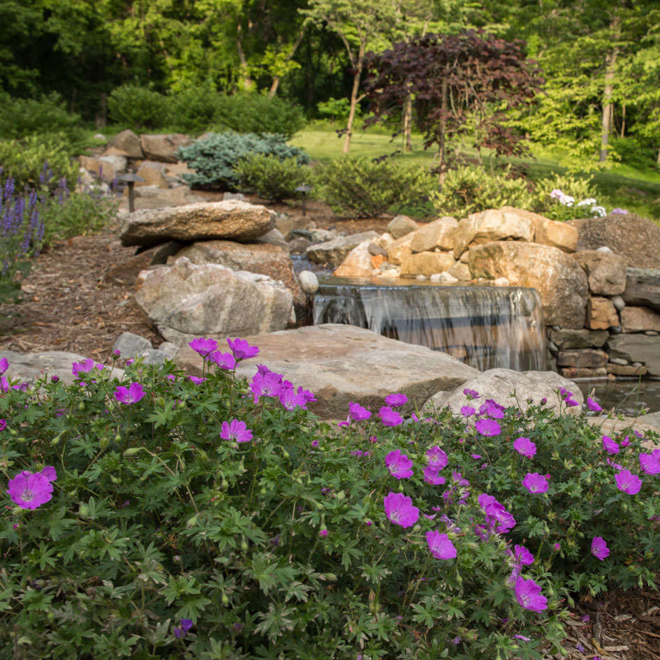 Waterfall behind purple flowers - Landscape Design